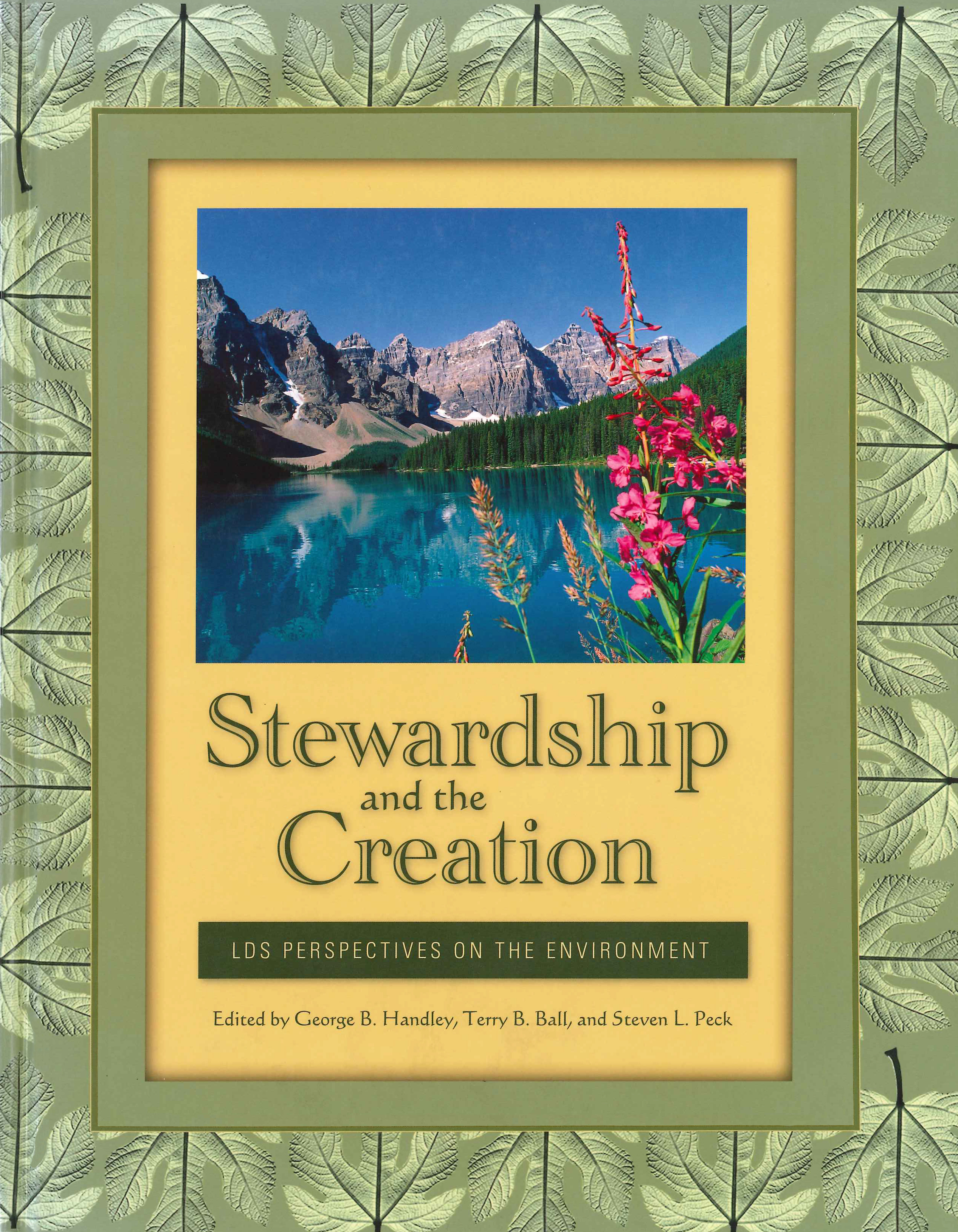 stewardship creation book