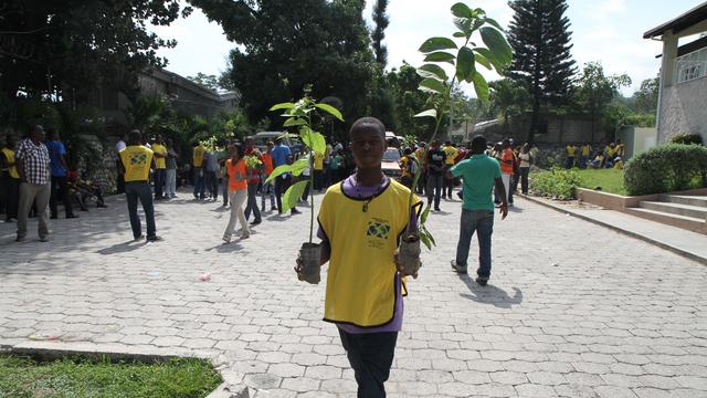 Haiti YM carries small trees
