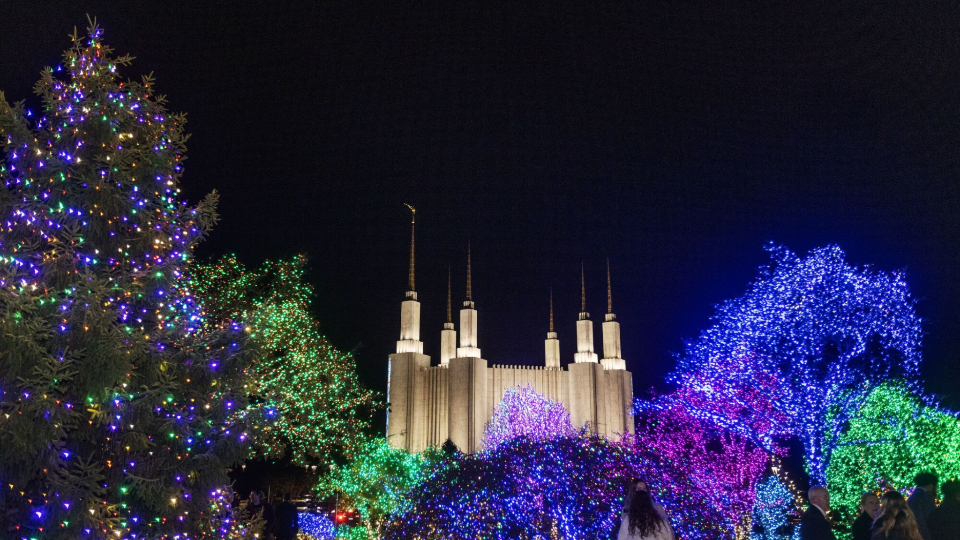 Temple-Christmas-lights-2023