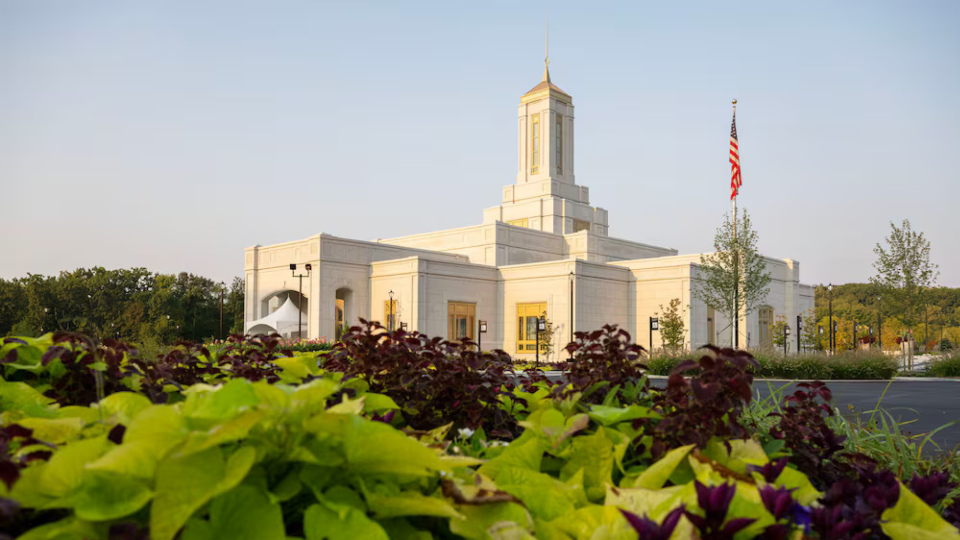 pittsburgh-temple-reactions-1.jpg