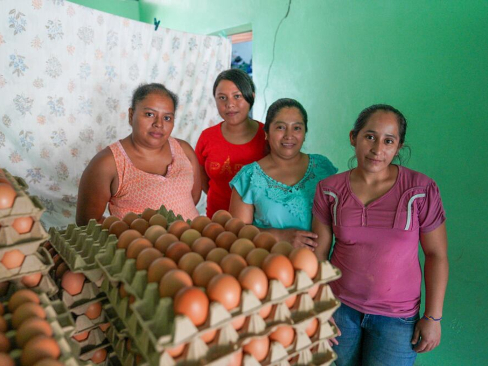 hatching-hope-honduras-2.jpg