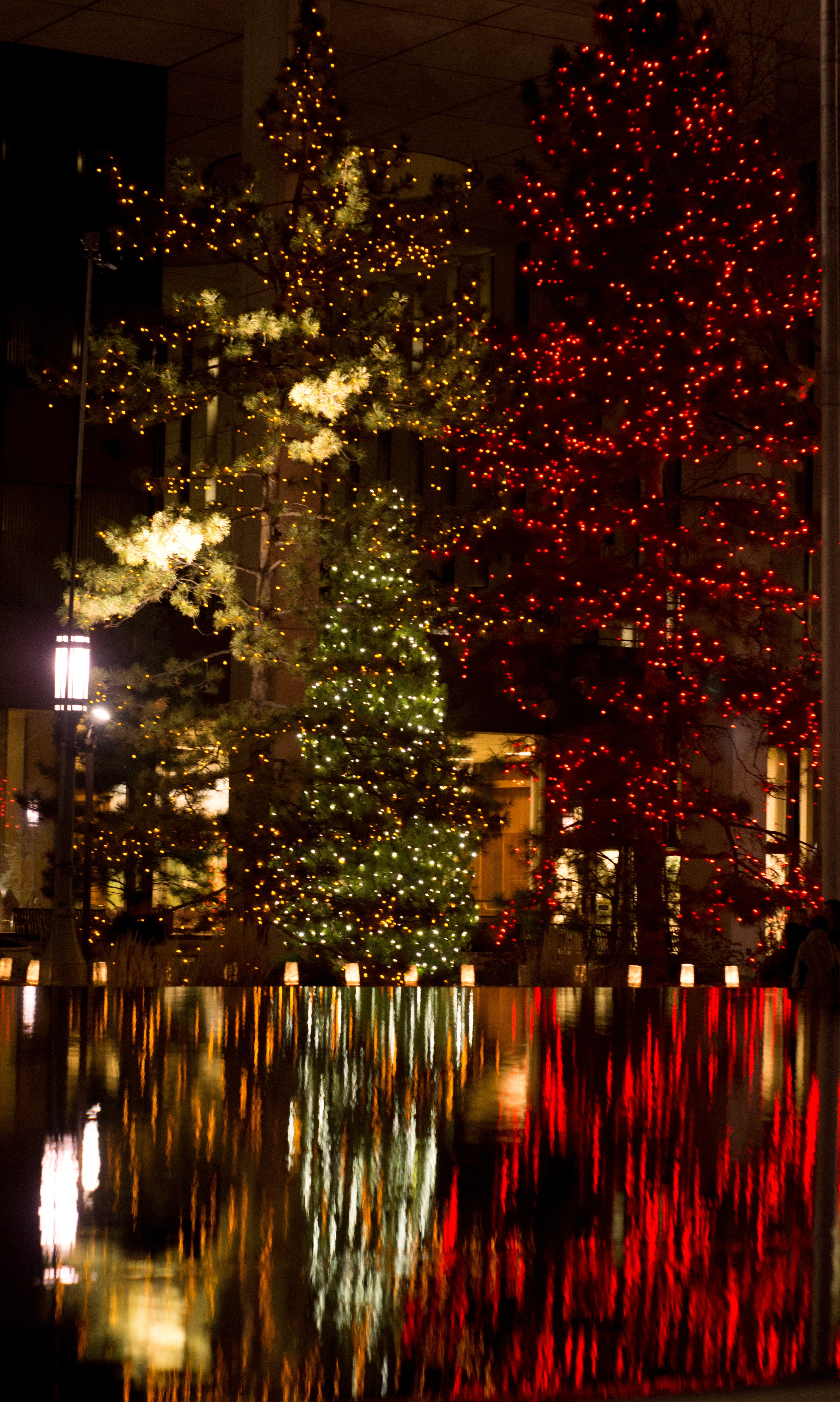 Temple Square lights5 2014